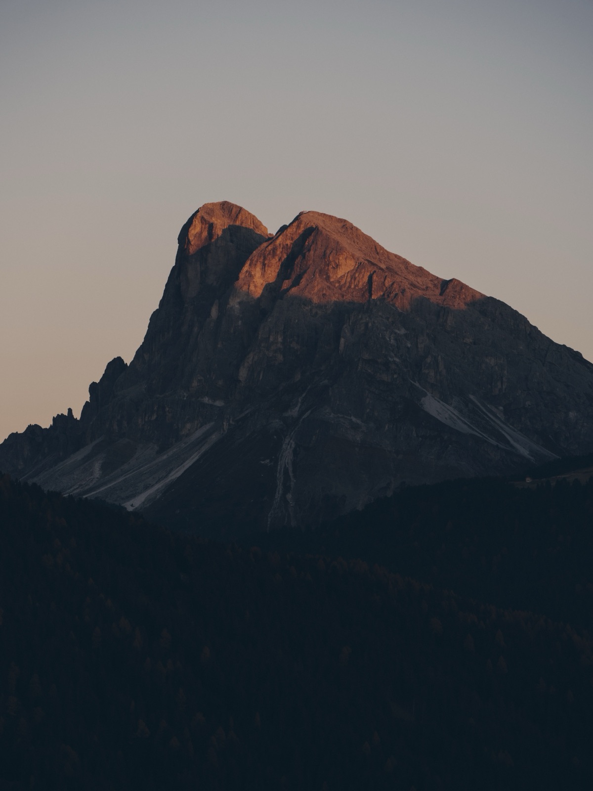 Forestis